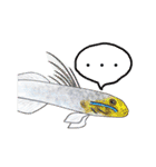 リアル水族館～日常会話～（個別スタンプ：28）