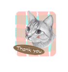 My cat Tama's stickers [For English]（個別スタンプ：3）