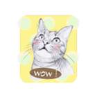 My cat Tama's stickers [For English]（個別スタンプ：7）