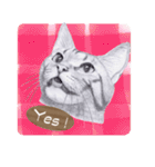 My cat Tama's stickers [For English]（個別スタンプ：10）