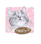 My cat Tama's stickers [For English]（個別スタンプ：32）
