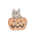 ハロウィン ねこ スタンプ（個別スタンプ：1）