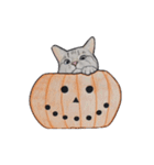 ハロウィン ねこ スタンプ（個別スタンプ：4）