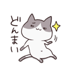 だるねこ～はちわれにゃんこ～（個別スタンプ：39）