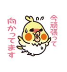 ぷにインコと毒インコ（個別スタンプ：15）