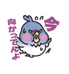 ぷにインコと毒インコ（個別スタンプ：20）