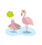 Bird Zoo（個別スタンプ：19）