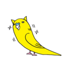 はぬをの猫耳インコ最強 vol:1（個別スタンプ：1）