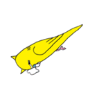 はぬをの猫耳インコ最強 vol:1（個別スタンプ：3）