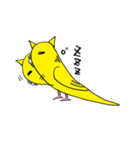 はぬをの猫耳インコ最強 vol:1（個別スタンプ：5）