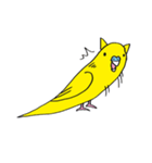 はぬをの猫耳インコ最強 vol:1（個別スタンプ：6）