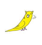 はぬをの猫耳インコ最強 vol:1（個別スタンプ：10）