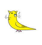 はぬをの猫耳インコ最強 vol:1（個別スタンプ：17）