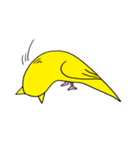 はぬをの猫耳インコ最強 vol:1（個別スタンプ：19）