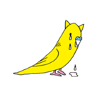 はぬをの猫耳インコ最強 vol:1（個別スタンプ：34）
