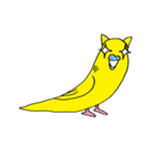 はぬをの猫耳インコ最強 vol:1（個別スタンプ：36）