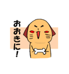 一匹リアクションとる犬。（個別スタンプ：27）