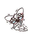 うるうるチワワ（個別スタンプ：14）