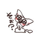 うるうるチワワ（個別スタンプ：22）