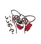 うるうるチワワ（個別スタンプ：33）