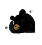 BLACK BEAR（個別スタンプ：9）