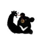 BLACK BEAR（個別スタンプ：11）