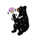 BLACK BEAR（個別スタンプ：14）