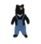 BLACK BEAR（個別スタンプ：15）