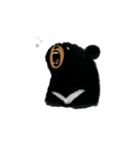 BLACK BEAR（個別スタンプ：28）