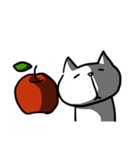 cat and apple3English（個別スタンプ：33）