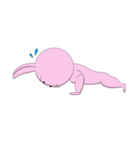 ウサギキャベツ（個別スタンプ：16）