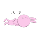ウサギキャベツ（個別スタンプ：34）