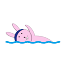 ウサギキャベツ（個別スタンプ：40）