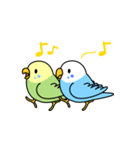 セキセイインコ「せきせいんこっこ」（個別スタンプ：33）