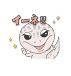 ✦レオパのごましおくん✦（個別スタンプ：6）
