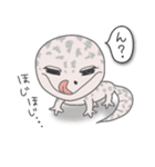 ✦レオパのごましおくん✦（個別スタンプ：12）