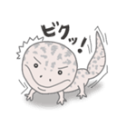 ✦レオパのごましおくん✦（個別スタンプ：34）