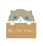 どらねこアーサー（個別スタンプ：40）