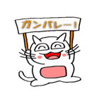 100％ねこ（個別スタンプ：12）