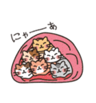 6にゃん子猫（個別スタンプ：36）