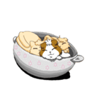 ねこざんまい（個別スタンプ：38）