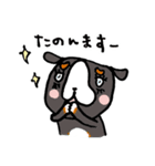 関西ローカル犬のバニ子（個別スタンプ：11）