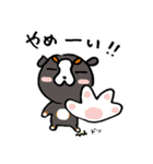 関西ローカル犬のバニ子（個別スタンプ：26）