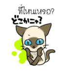 シャム太郎（個別スタンプ：32）