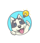 Playful Husky（個別スタンプ：2）