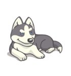 Playful Husky（個別スタンプ：7）