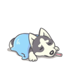 Playful Husky（個別スタンプ：9）