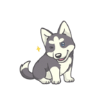 Playful Husky（個別スタンプ：15）