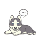 Playful Husky（個別スタンプ：27）