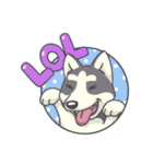 Playful Husky（個別スタンプ：29）